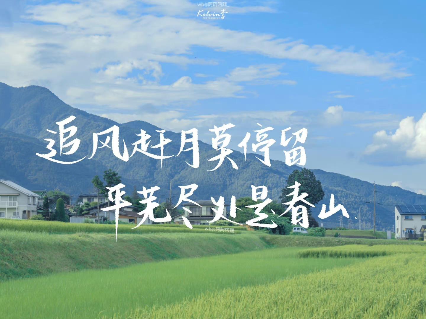班级电脑壁纸:追风赶月莫停留,平芜尽处是春山